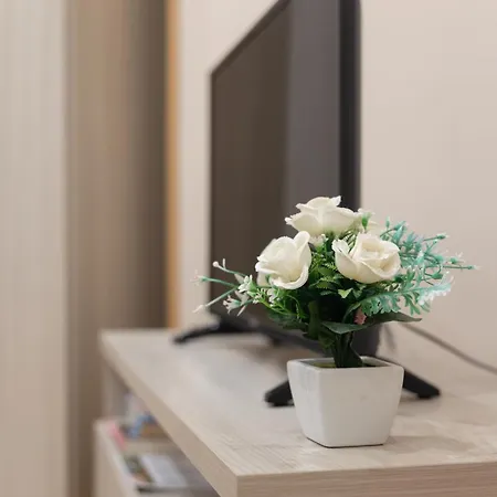 Maison * 피우미치노